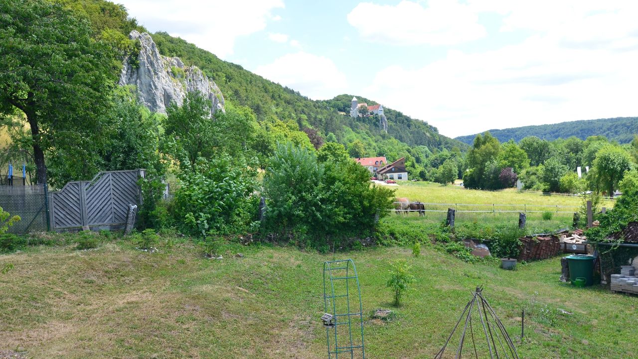 ViewSummer ViewSummer